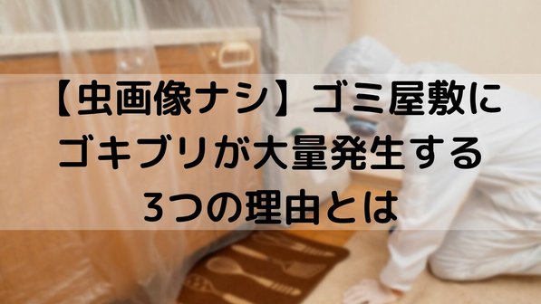 【虫画像ナシ】ゴミ屋敷にゴキブリが大量発生する3つの理由とは