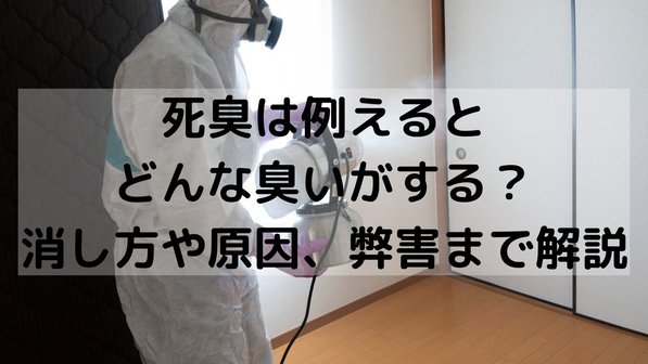 死臭は例えるとどんな臭いがする?消し方や原因、弊害まで解説