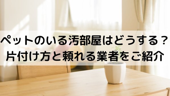 ペットのいる汚部屋はどうする?3段階の掃除方法や業者利用についても解説
