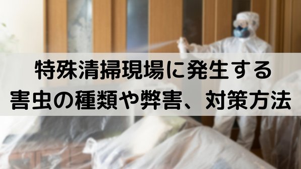 【虫画像ナシ】 特殊清掃現場に発生する害虫の種類や弊害、対策方法