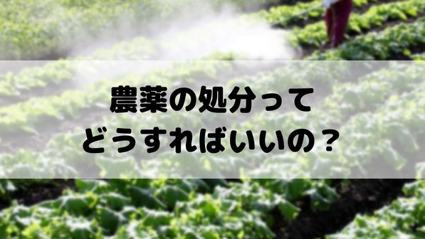 農薬の処分方法は?NGな捨て方や容器の処分、処分費用までわかりやすく解説