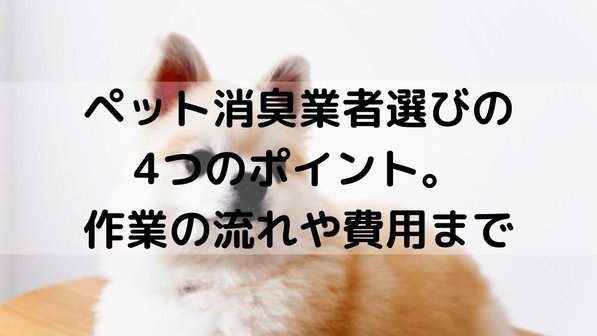 ペット消臭業者選びの4つのポイント。作業の流れや費用まで