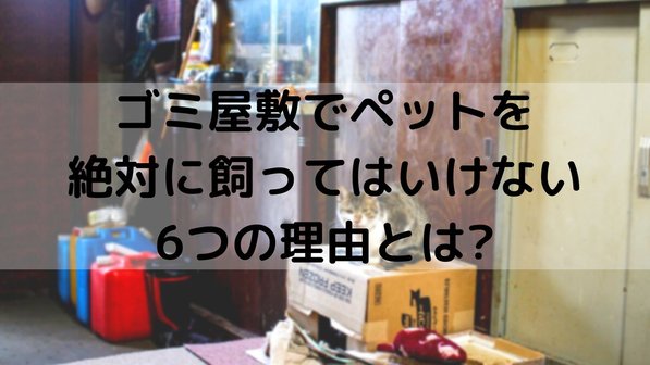 ゴミ屋敷でペットを絶対に飼ってはいけない6つの理由とは?