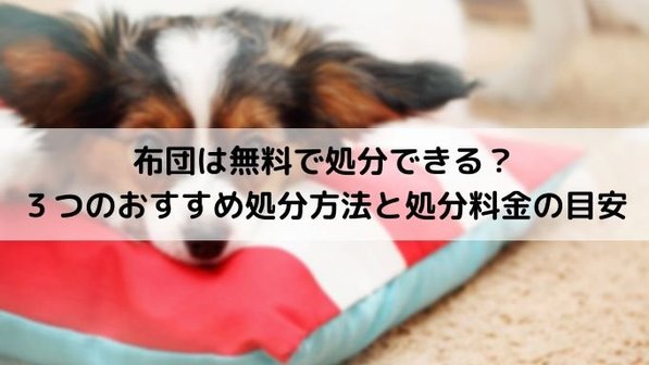 布団の3つの捨て方。無料回収はできる?処分費用の目安も解説