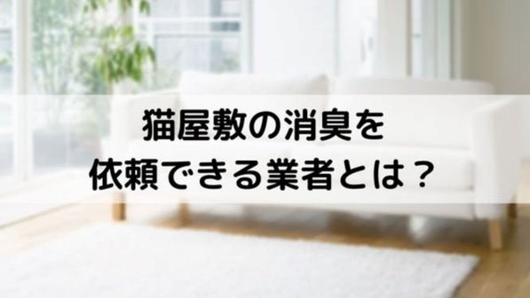 猫の臭いを部屋から消したい!猫屋敷の片付けを依頼できる業者はどこ?