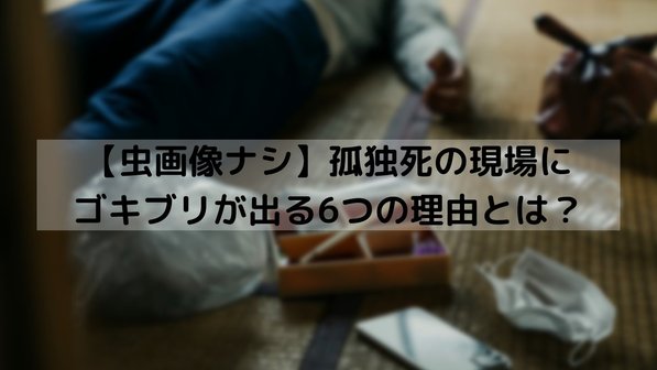【虫画像ナシ】孤独死の現場にゴキブリが出る6つの理由とは?