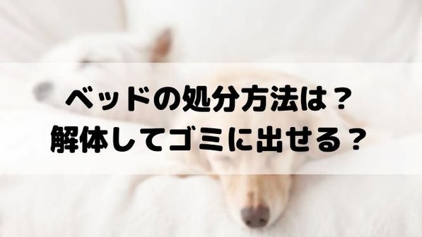 ベッドを処分する4つの方法。無料で捨てられる?処分費用までわかりやすく解説