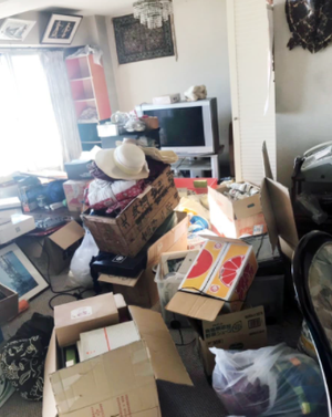 【2LDK】大量の荷物が散らばった状態のお宅でもお任せください(6万円)の施工前