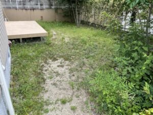 草刈り・庭木剪定作業の施工前