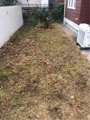 草刈りサービス(三木市志染町)の施工後