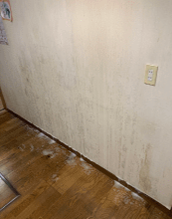 【お客様の声③】東京都杉並区 Y様の施工後