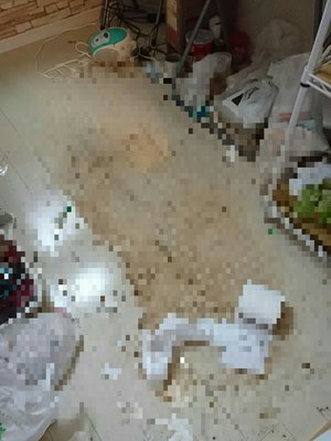 賃貸物件の特殊清掃・消臭作業の施工前