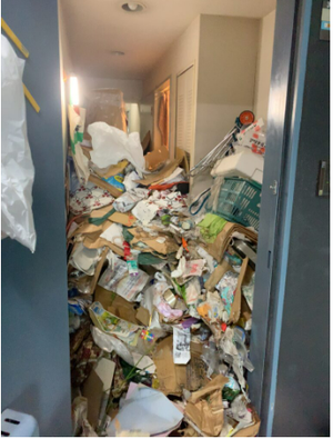 1LDK ゴミ屋敷清掃の施工前