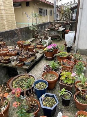 一軒家の場合の施工前