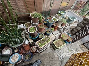 4LDK・庭付き物件の片付けの施工前