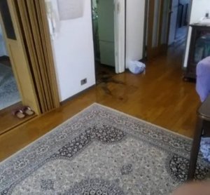 特殊清掃の施工前