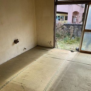 一軒家の和室・庭清掃の施工後