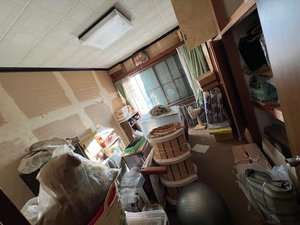 一軒家丸ごと外の雑木林もまとめての依頼の施工前