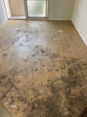 1K・アパートの遺品整理の施工後