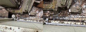 ビル屋外の特殊清掃の施工前