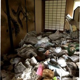 4DKのゴミ屋敷片付けの施工前