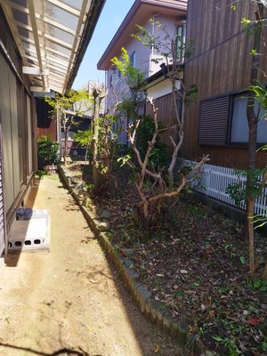 屋外の生前整理の施工後