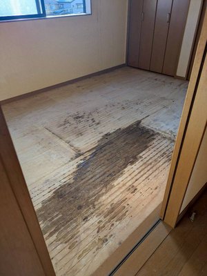 7LDKS・戸建ての特殊清掃の施工後