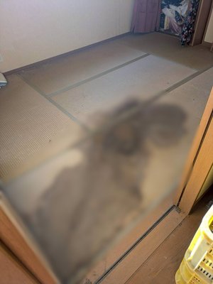 7LDKS・戸建ての特殊清掃の施工前