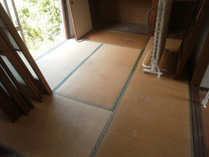 ネコ屋敷清掃のご依頼の施工後