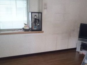 思い出の人形も見つかりましたの施工後