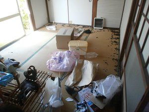ネコ屋敷清掃のご依頼の施工前