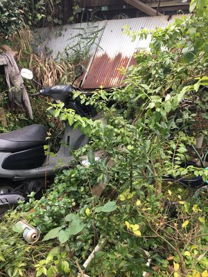 包括支援センターからのご依頼の施工前