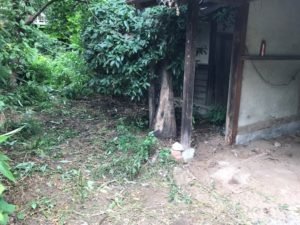 【485,000円】不用品回収のご依頼の施工後