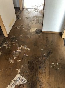 ゴミ屋敷の撤去作業の施工後