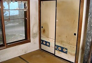 ゴミ屋敷清掃の例の施工後