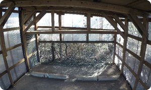 庭に設置された物置の片付け依頼の施工後