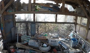 庭に設置された物置の片付け依頼の施工前