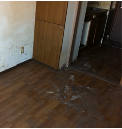 たくさんのゴミが見違えるほどきれいになりましたの施工後