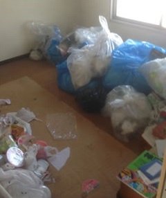 ゴミ屋敷清掃1の施工前