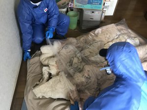 孤独死現場の特殊清掃と消臭の施工後