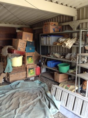 長年放置されていた戸建の事例の施工前