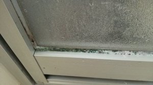 6畳一間のアパートの場合の施工前