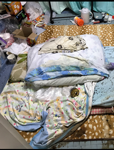 特殊清掃とオゾン脱臭から害虫の駆除をおこないました。の施工前