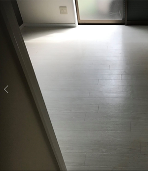 特殊清掃とオゾン脱臭から害虫の駆除をおこないました。の施工後