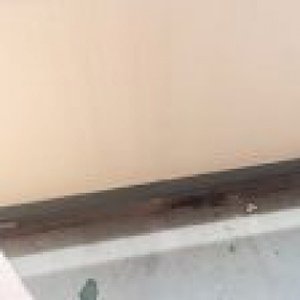 一人暮らしのお母様の遺品整理:1K【110,000円】の施工後