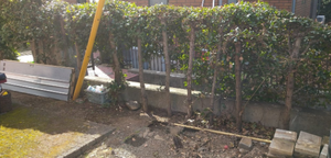 物置の解体・撤去作業の施工後