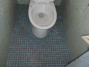 【愛知県】トイレでの特殊清掃の施工後