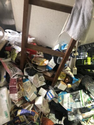 引き払いに伴う不用品回収・片付け作業の施工前