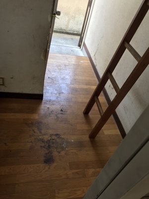 引き払いに伴う不用品回収・片付け作業の施工後