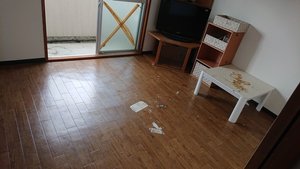 ゴミの分別と不用品の片付け作業の施工後